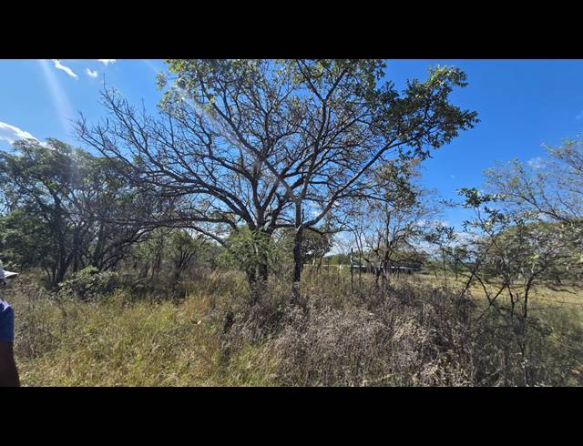 8.80HA VACANT LAND FOR SALE IN BELA BELA RURAL